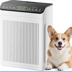 Air Purifiers 