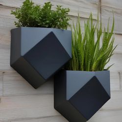 Modern Wall Planters