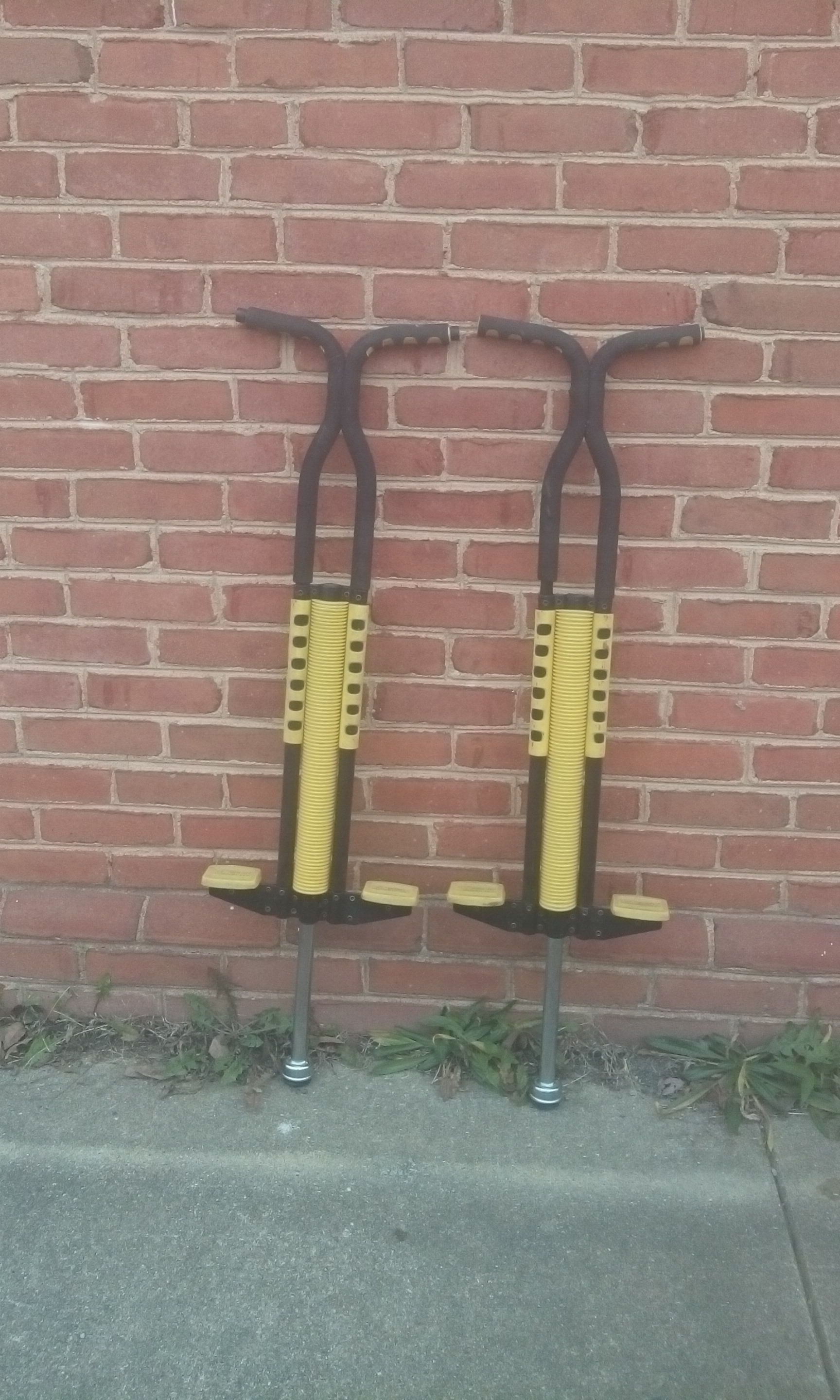 Two Flybar Pogo Sticks