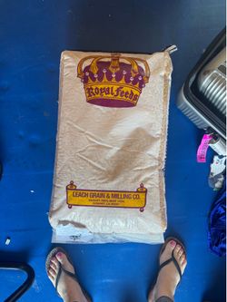 Corn feed