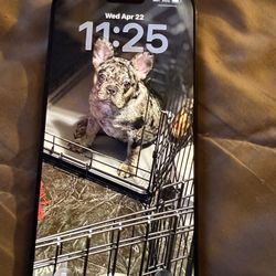 Black IPhone 16 Pro Max 