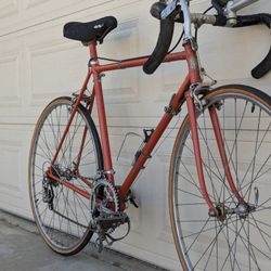 OLMO Road Bike Large Size Campagnolo 