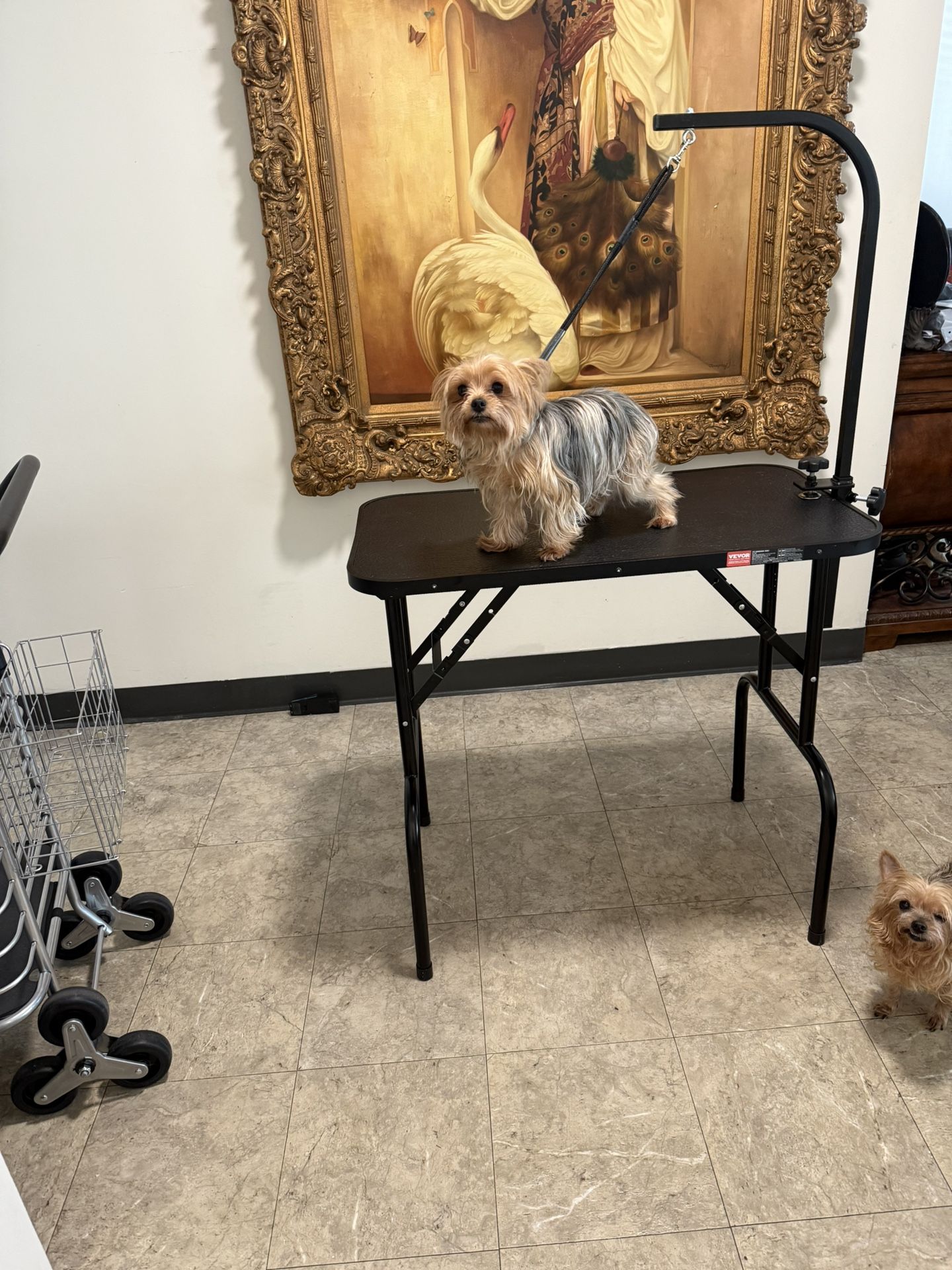 Dog Grooming Table