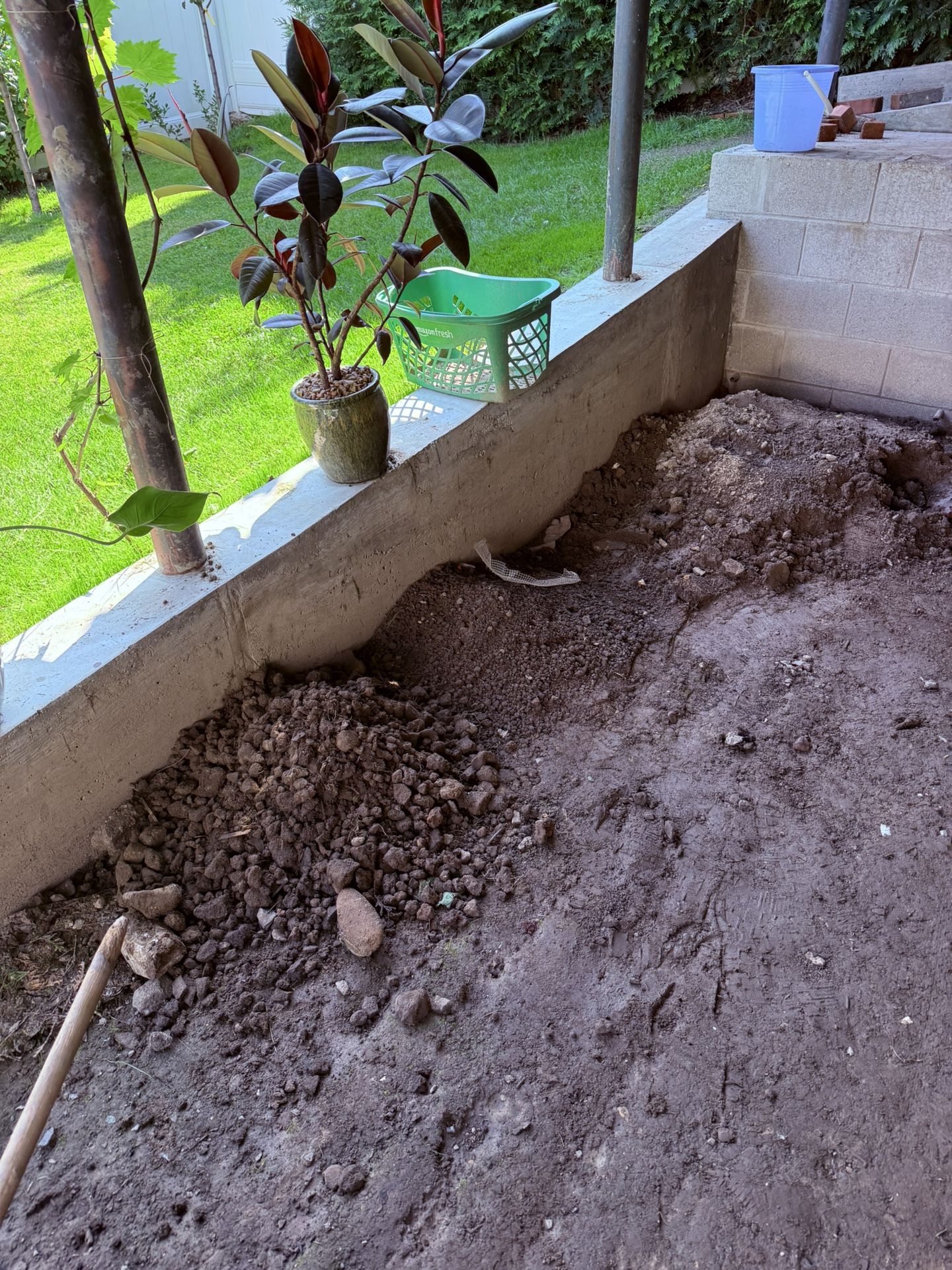 $100.00 Pay You To Remove 2 Yards Of Soil Free Cone Picking Up Woodland Park Sifted