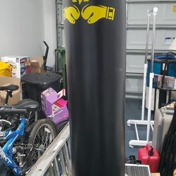 Punching Bag 