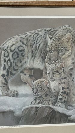 Animal Prints Framed