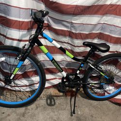 Guardian 24 Inch Bike