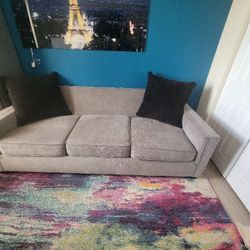 Sleeper Sofa Gently Used