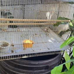 Jaulas Para Pájaros 🐦 