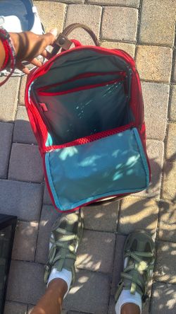 Small Dog Travel Backpack
