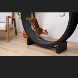 Cat Exercise Wheel