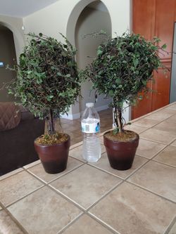 Artifical Plant (2) Heavy