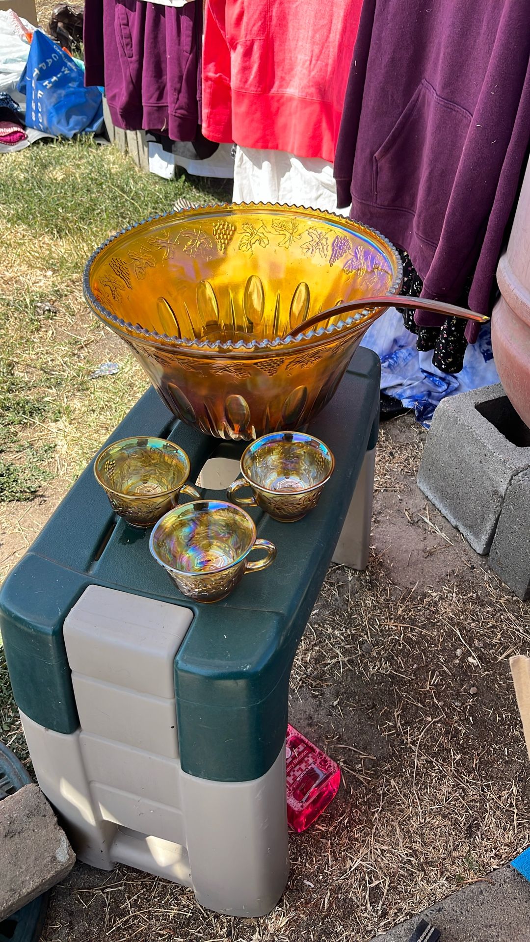 carnival class bowl with 12 cups