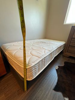 Twin mattress with Box spring