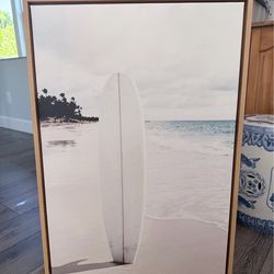 Framed canvas art