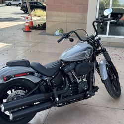 2024 Harley Davidson Street Bob
