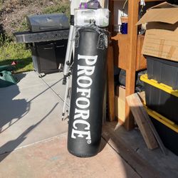 Punching Bag And Gloves