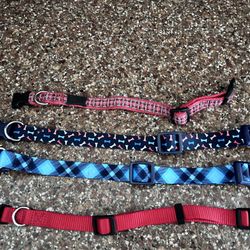 4 Dog Collars