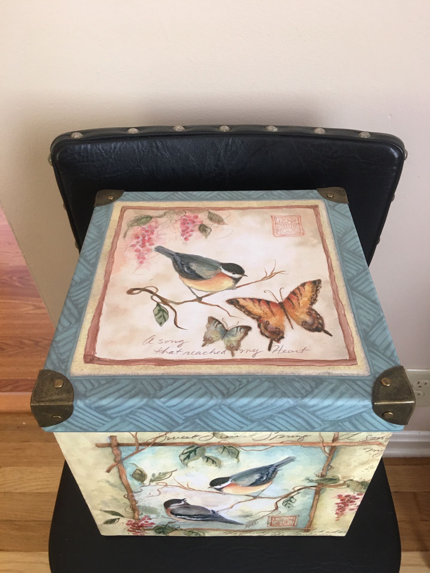 Butterflies & Birds Accent Box W/Lid 8.5” Square W/ Brass Edges LN Pick Up or Will Ship