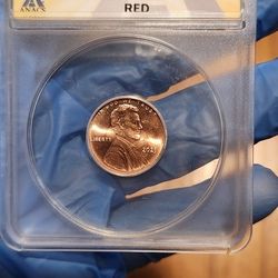 2023 Penny Estra V 