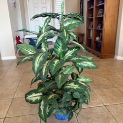 Nice Silk Dieffenbachia Plant In Blue Ceramic Pot