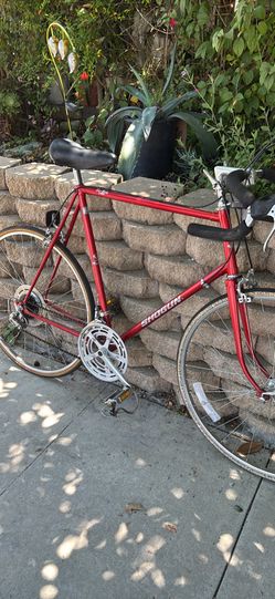 HI— TEN SHOGUN 10 SPEED 25” Frame For a tall Rider