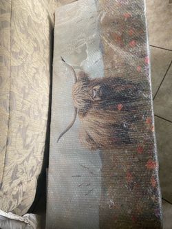 Highland Cow Painting