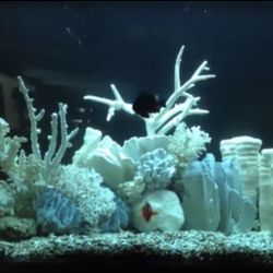 Fish Tank Decorative Coral