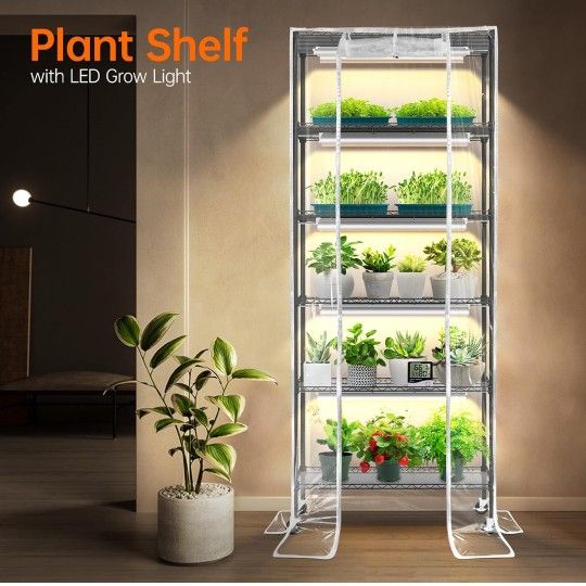 Indoor Greenhouse 