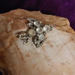 Silver Sweater pin Songbird. So Precious