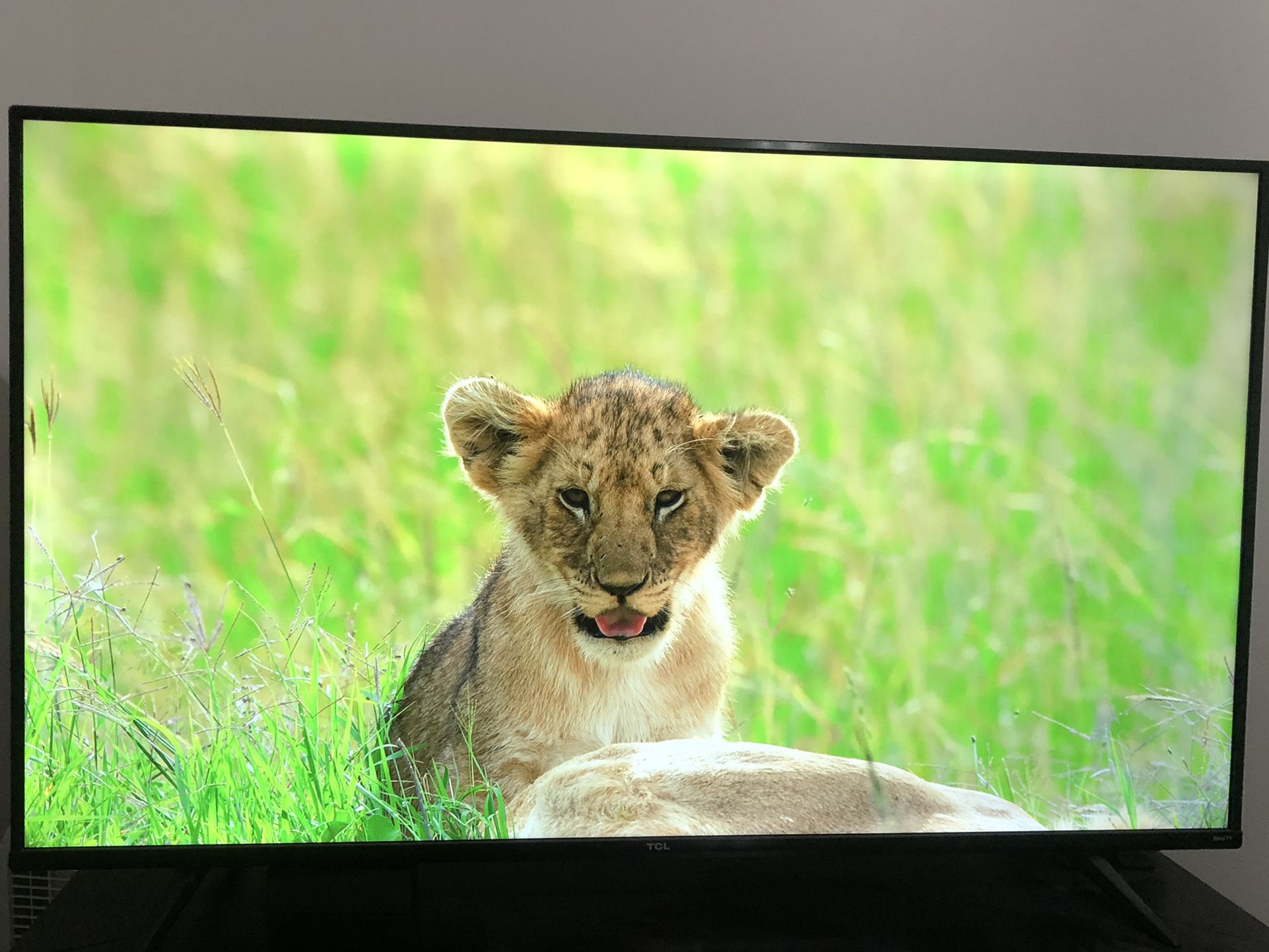 55’ 4k Tv from Roku (Apple Compatible Tv)