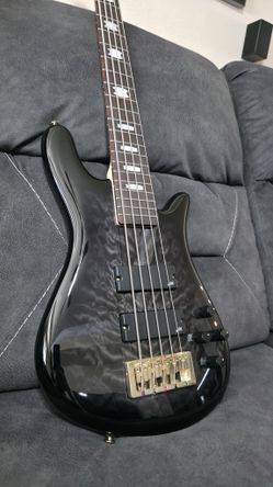 Mint Condition: Spector Icon NS-5 5-String Bass (Black Stain Gloss)