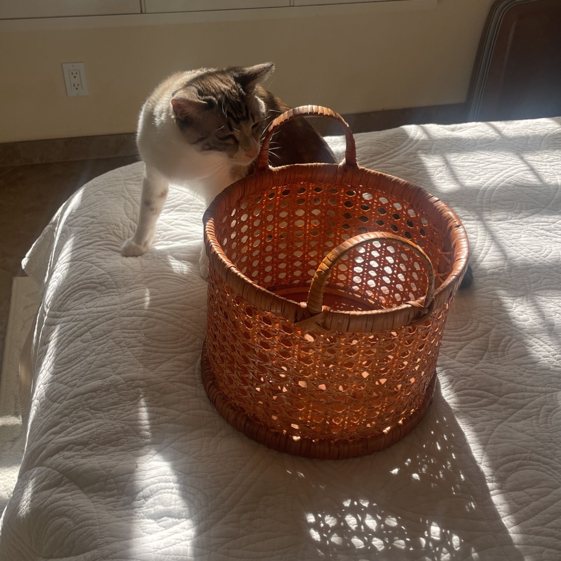 Basket