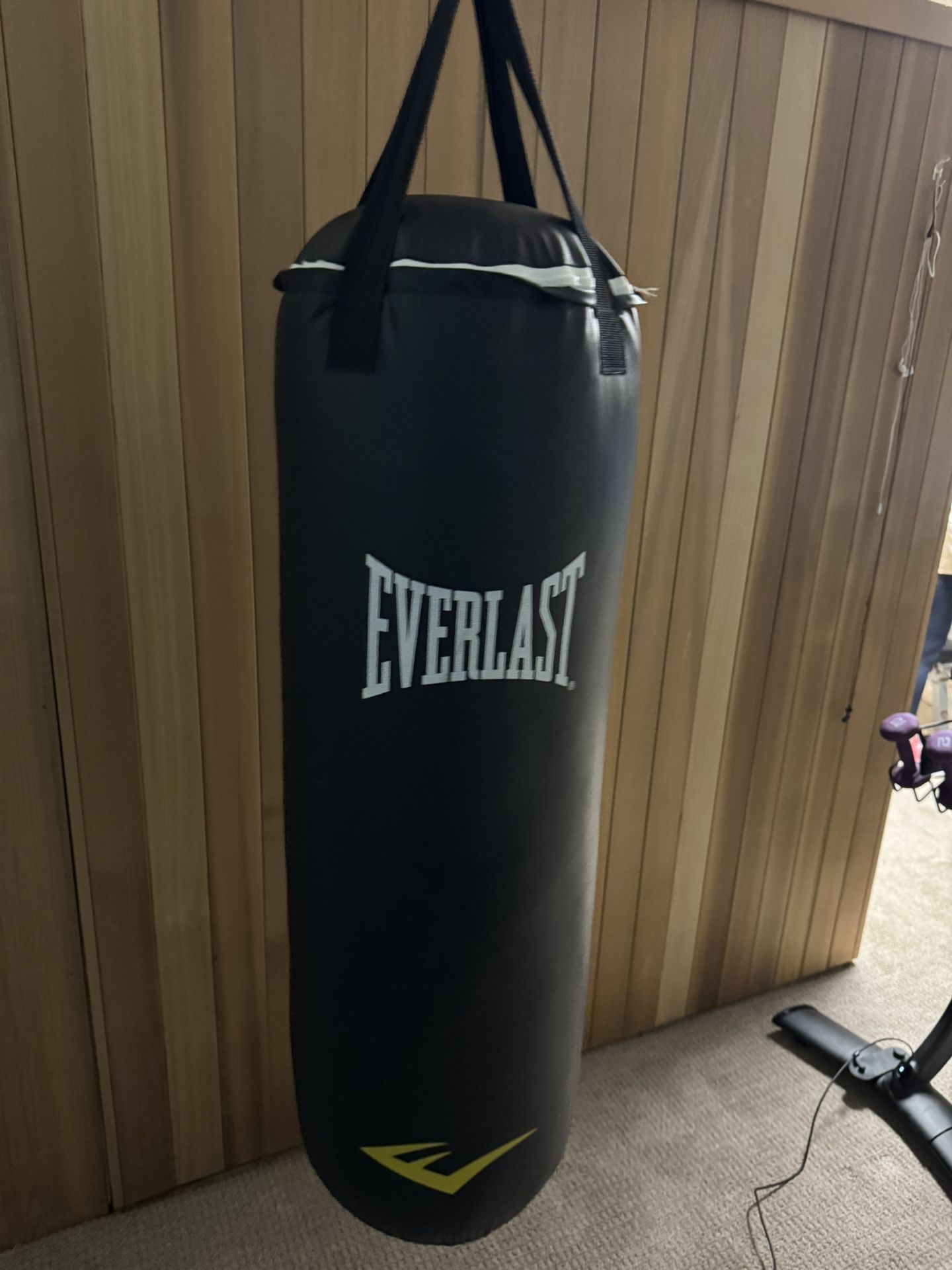 Everlasting 70 Pound Heavy Bag