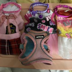 Puppy clothes Teacup ( 2-3lbs)