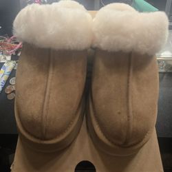 UGGs New