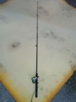 Vintage rod and reel fishing pole