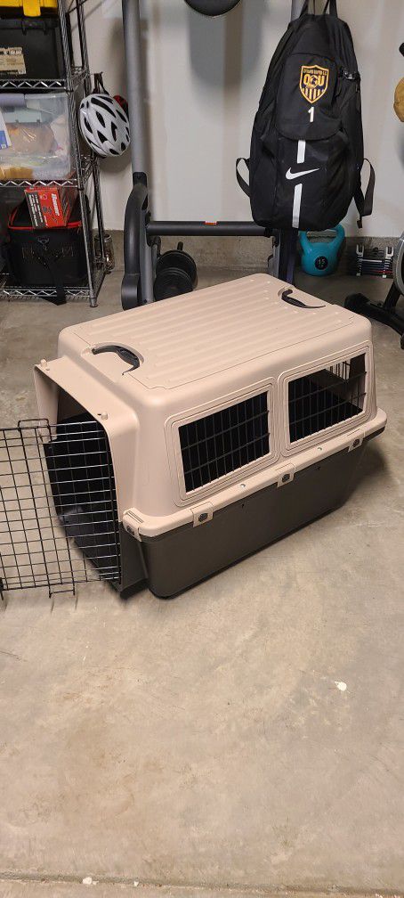 Puppy Training,  Crate And Play Pan