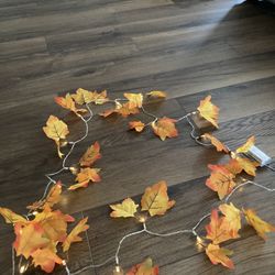 Fall Thanksgiving Lights With Leaves