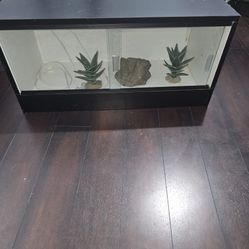 Terrarium 