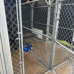 Kennels 