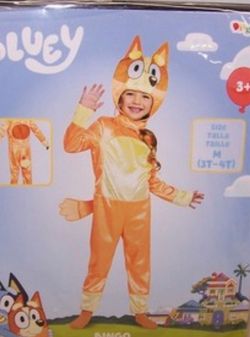Bingo  Costume