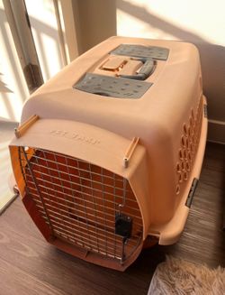 Pet Taxi Carrier Kennel Medium Size Great Condition (pick up in Cedar Park)