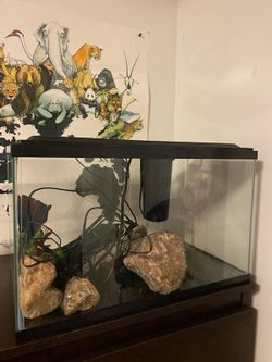 New animal tank never used