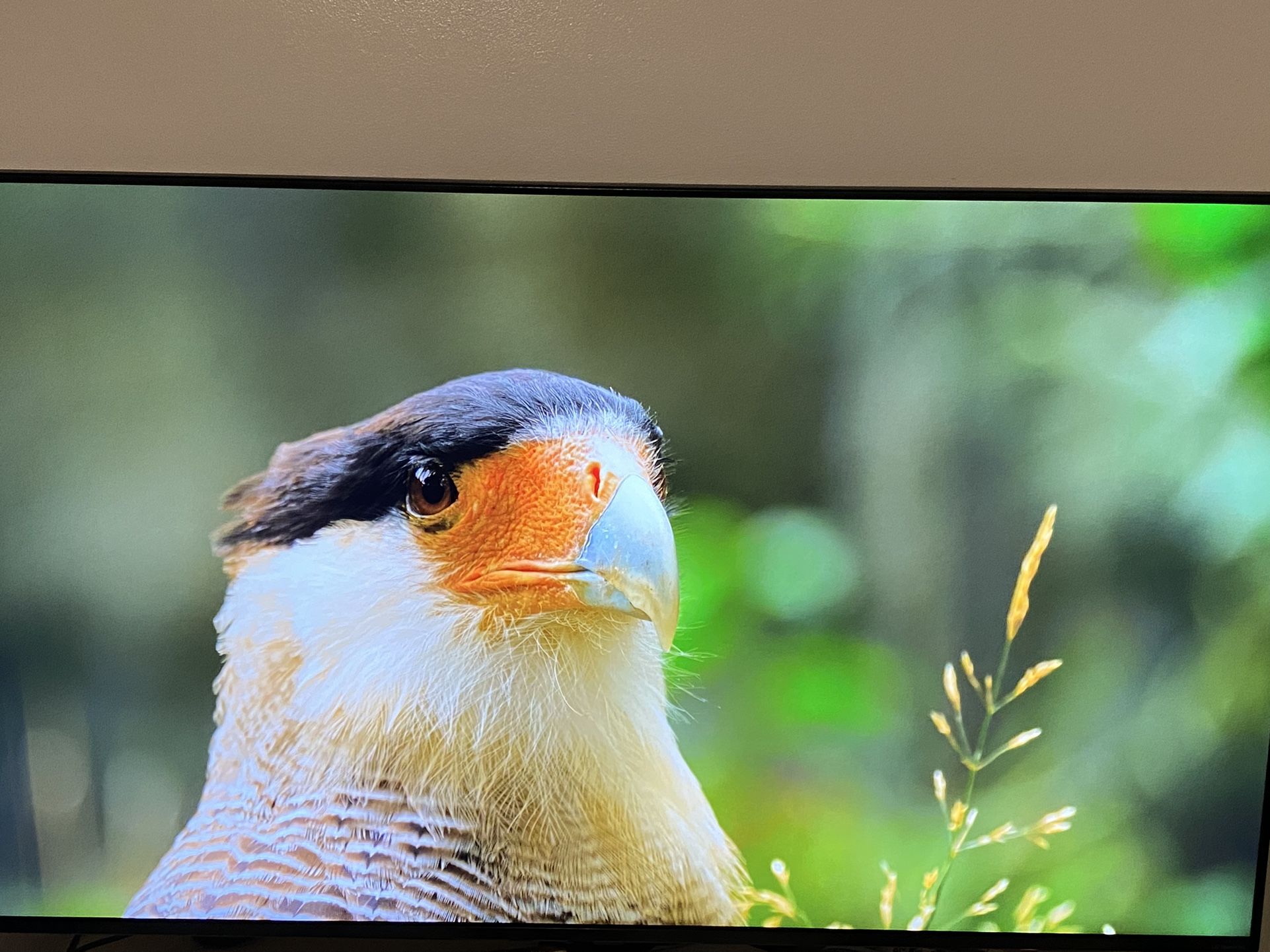 TV LG NANO CELL 4K ultra HD AI THINQ 55inches