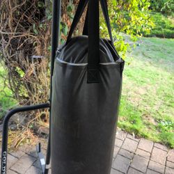Everlast Punching Bag, Stand, Gloves