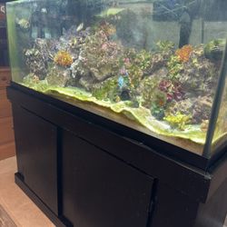 75 Gal. All Glass Aquarium