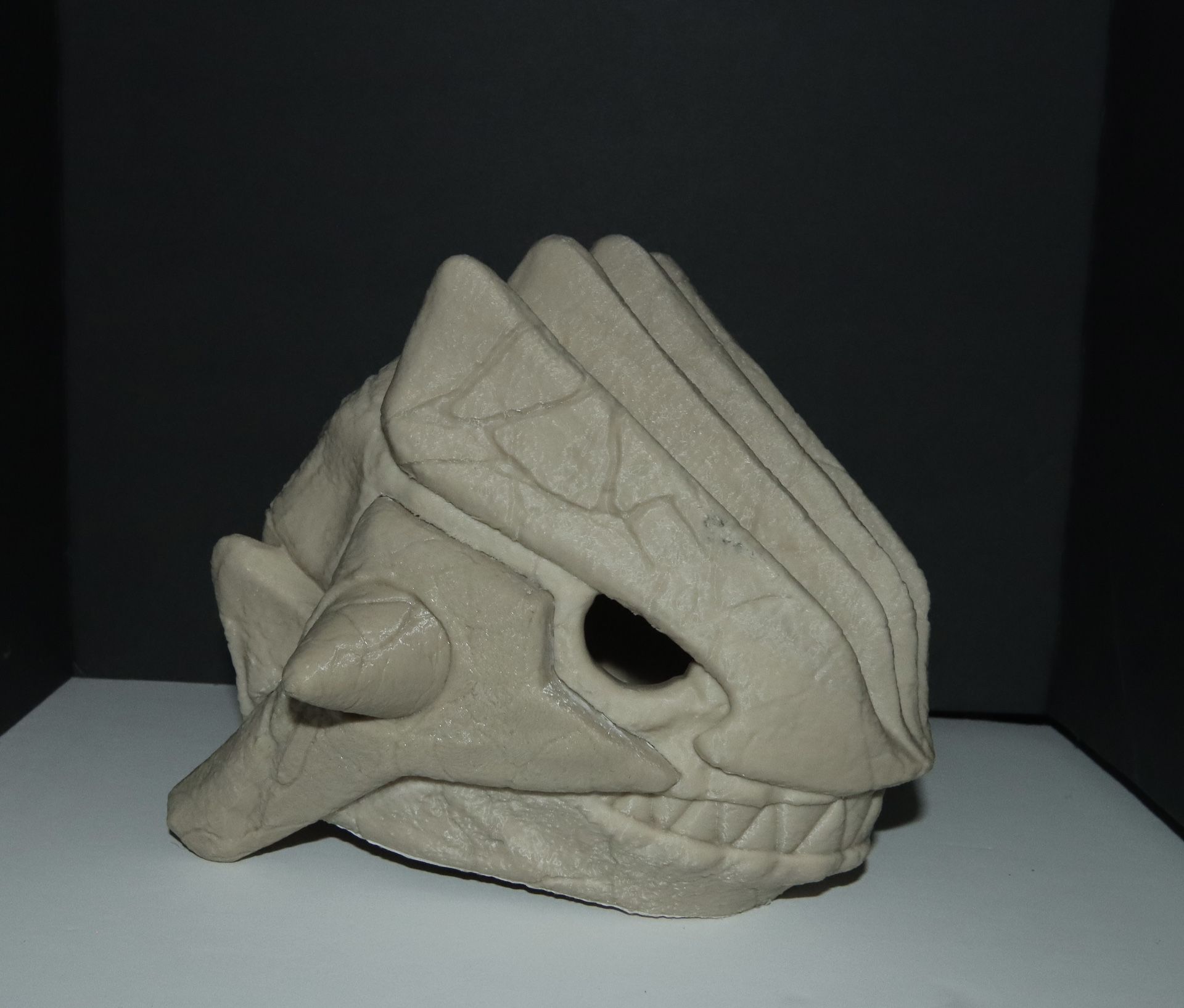 Groudon Skull