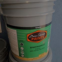 Exterior Flat Paint (NO WHITE )