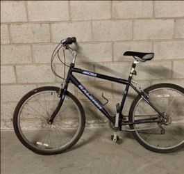 Raleigh Bike